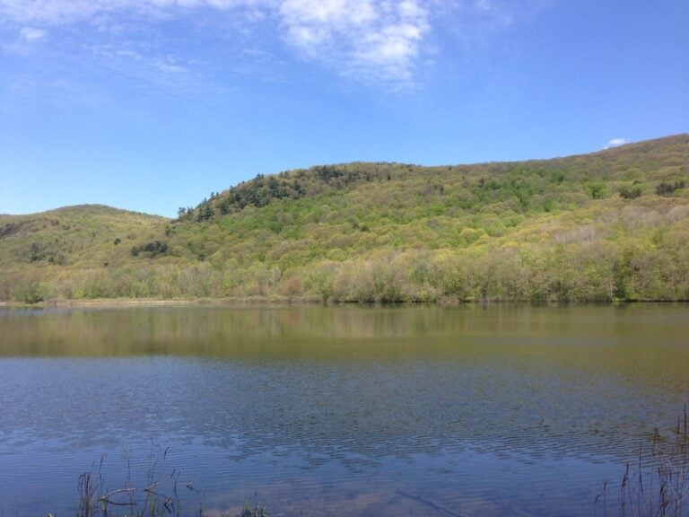 A serene lake in front of a pair of green hills on a sunny day.
