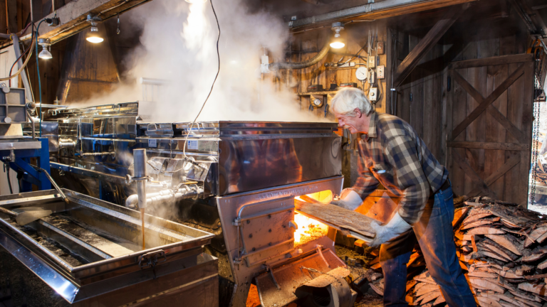 a man feeding wood logs into a silver maple sugar boiler