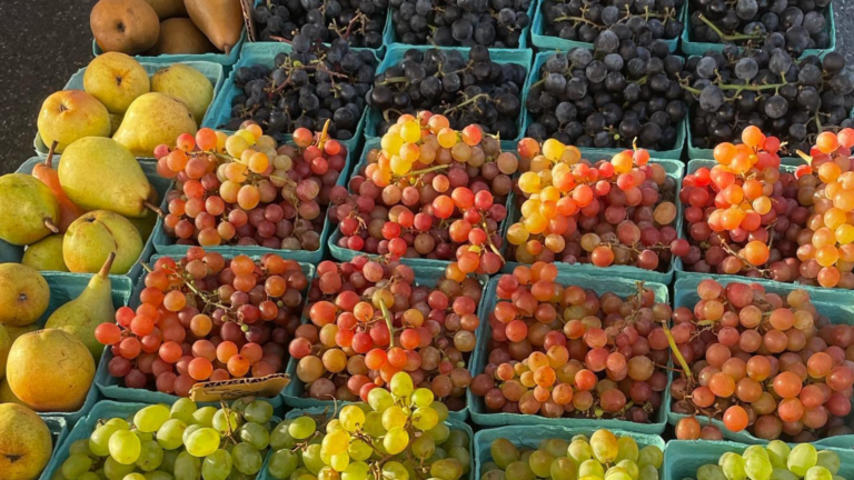 Assorted grapes and pears in light blue containers at a market. Red, green, black, and orange grapes are visible, alongside yellow and green pears—perfect for those looking to discover Massachusetts Farmers Markets.
