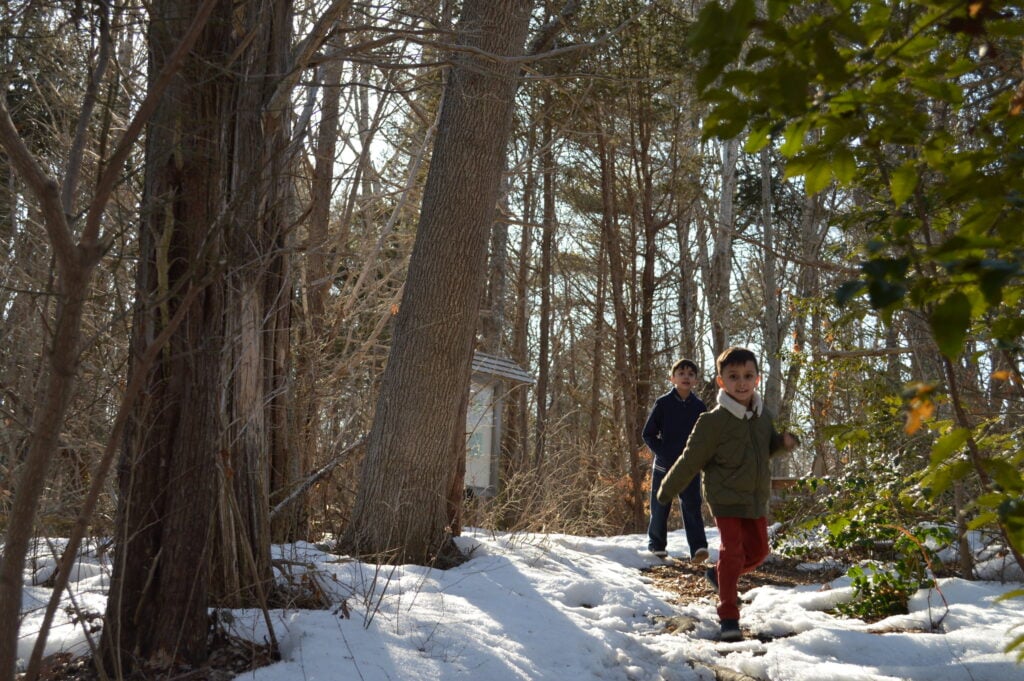 Kids run in the woods.