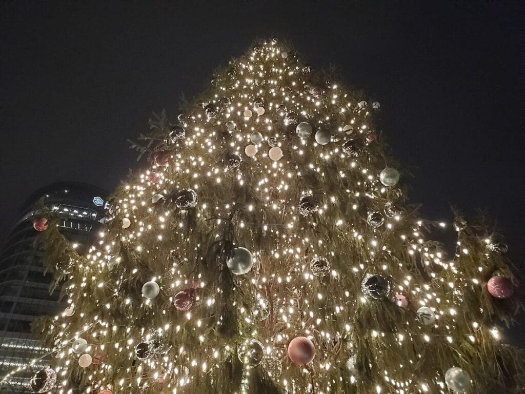 A giant Christmas tree lit up outside in Boston, Massachusetts.