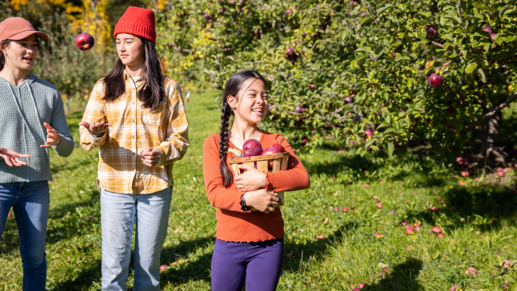A child holds a basket of picked apples.