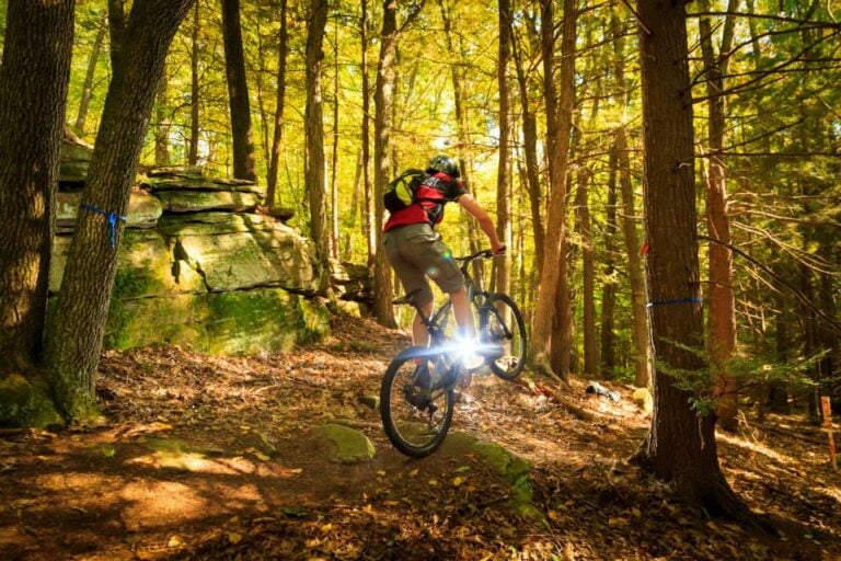 A person wearing a helmet and backpack explores the sunlit Berkshires on two wheels, riding a mountain bike through a forest with trees and large rocks lining the dirt trail as sunlight shines behind the cyclist’s wheels.