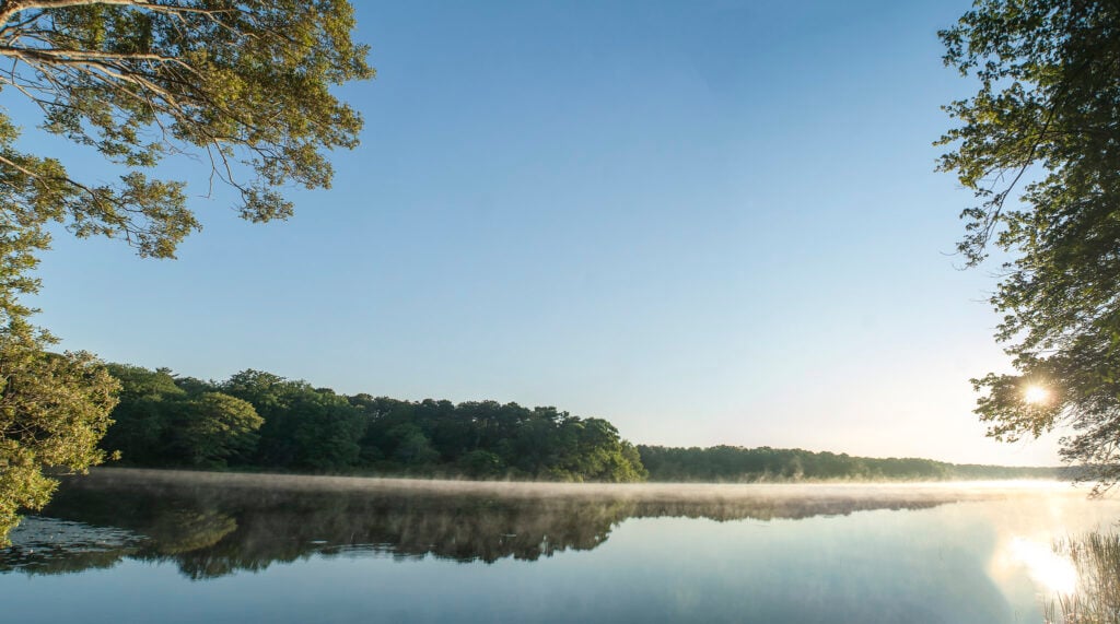 A serene pond on a sunny day.