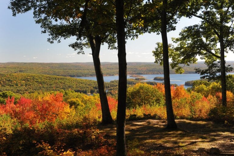 Colorful autumn trees surround a scenic lake, viewed from a forested overlook; vibrant red, orange, and yellow foliage contrasts with blue water and distant rolling hills—an adventure along the Quabbin Reservoir under a clear sky.