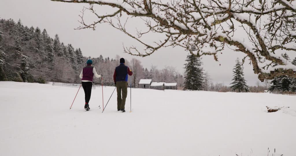 2 cross country skiers traverse a snowy natural location in Western Massachusetts.