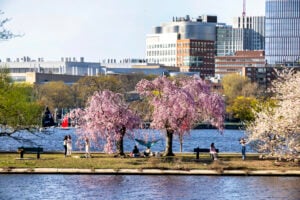 Pedestrians walk along the Charles River Esplanade on a bright, sunny day.