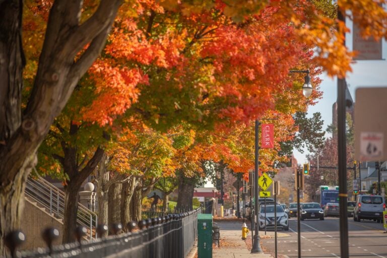 Colorful fall foliage along a Boston city street.