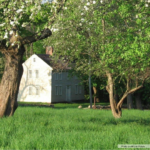 A white colonial-style house is partially hidden behind blossoming trees and lush green grass on a bright, sunny day. A small sign stands near the house. Photo credit: Lou Sideris.