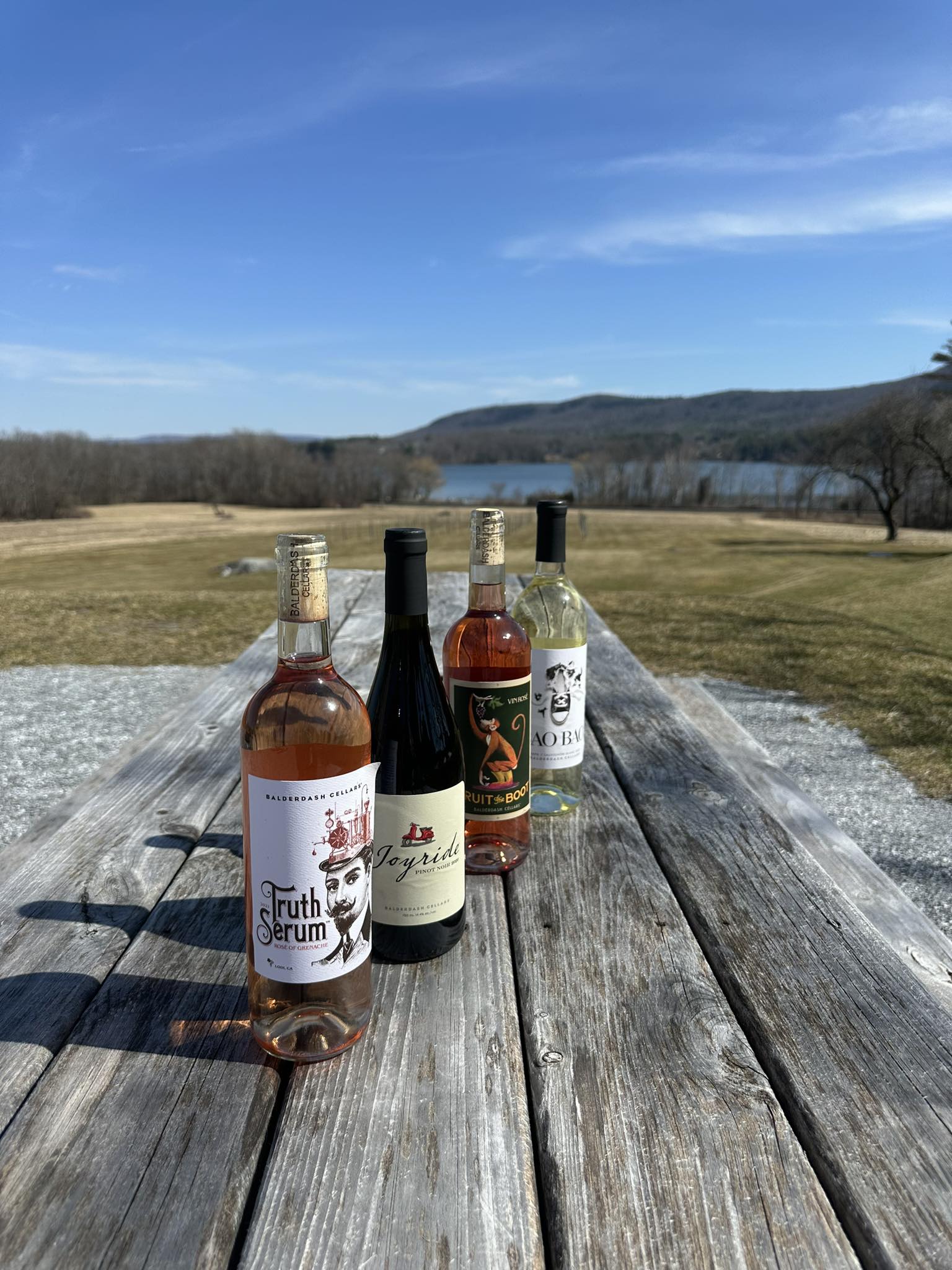 A variety of bottles lined up on a picnic table outdoors on a sunny day at Balderdash Cellars.