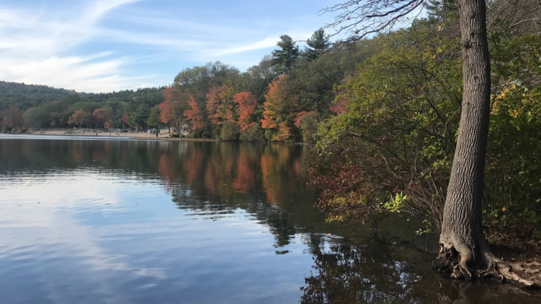 A calm lake in Blue Hills Reservation reflects autumn trees in green, orange, and red foliage. The shoreline is lined with trees, and wispy clouds drift above—a perfect spot for family adventures in every season.