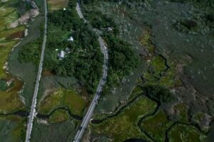 Aerial view of a winding road cutting through lush green wetlands, with scattered houses and dense vegetation surrounded by marshes and waterways.