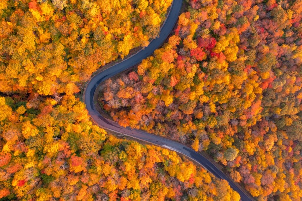 A hairpin turn shot from above.