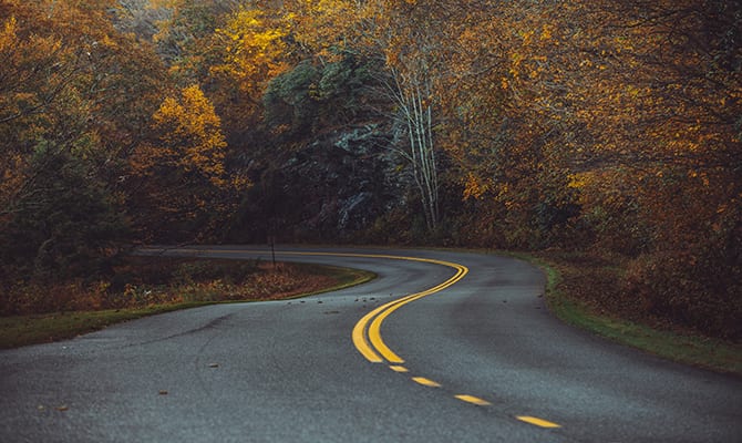A winding paved road flanked by colorful foliage.