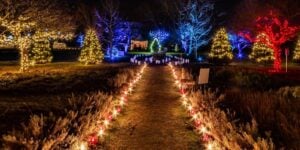 The Trustees, Winterlights