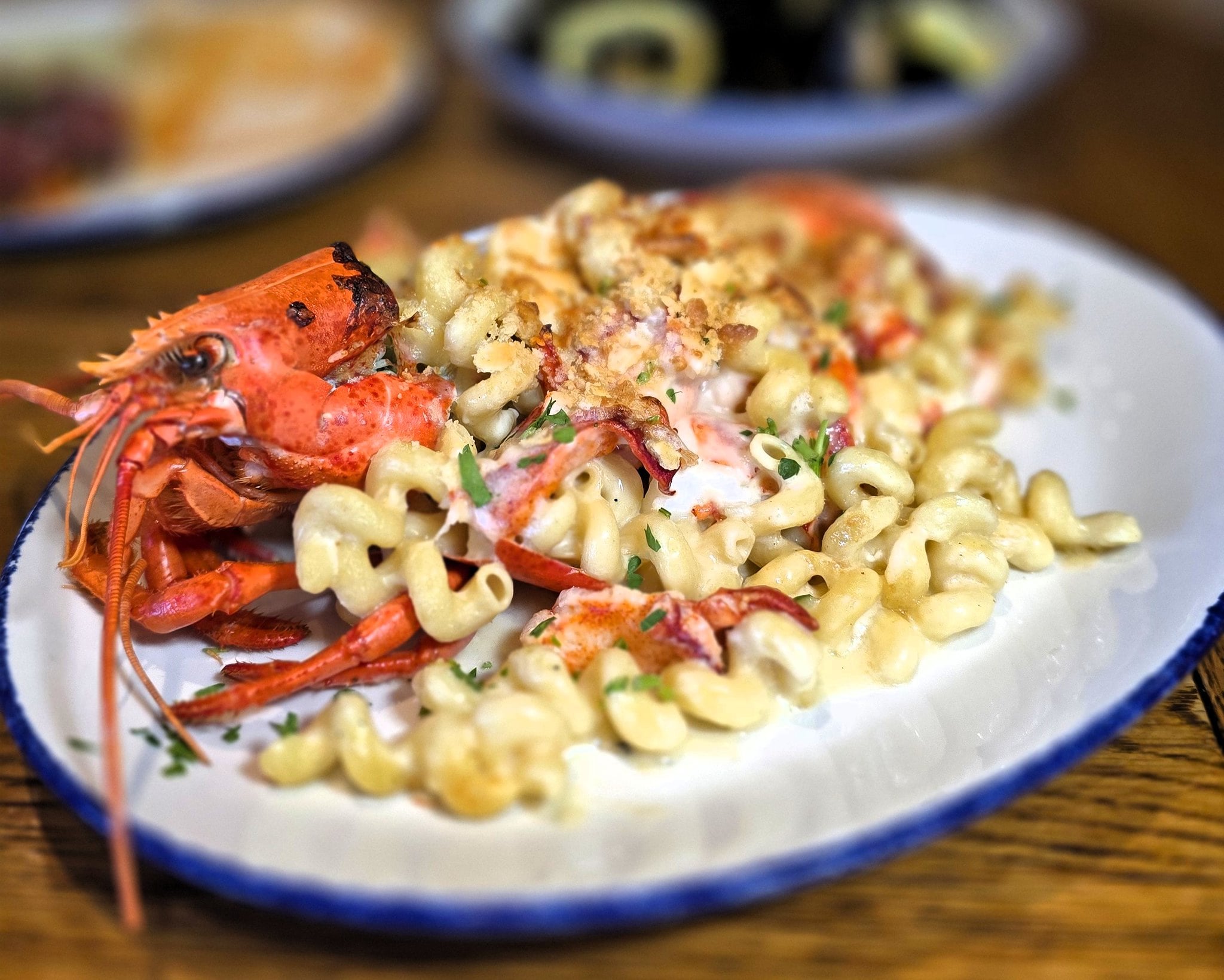 A plate of lobster mac and cheese.