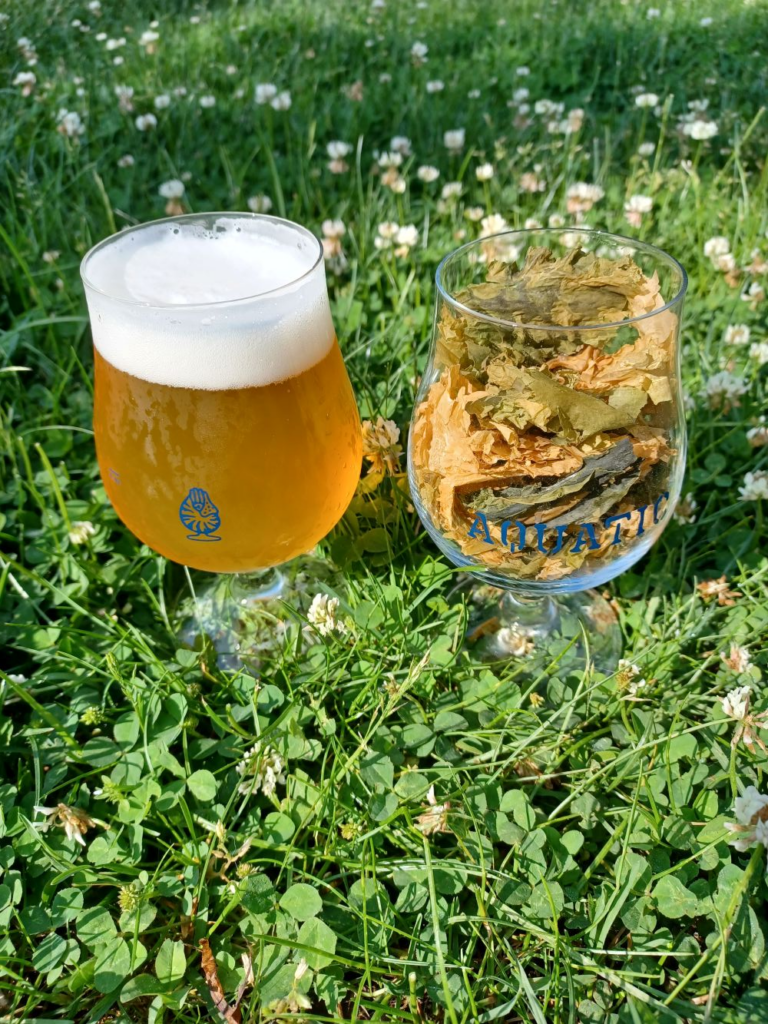 A glass of kelp beer from Aquatic Brewing.