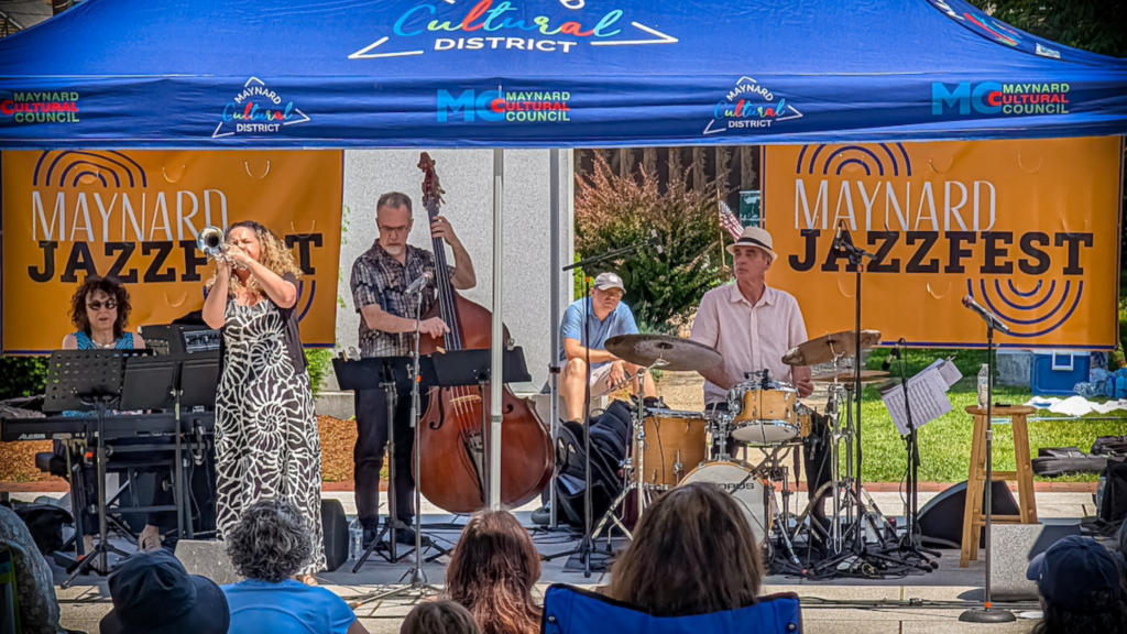 A band performs at an outdoor festival.