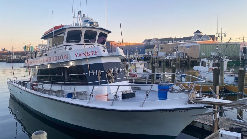 A large white and black boat named Yankee Star is docked at a marina, surrounded by other boats and waterfront buildings at sunset.